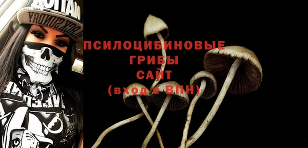 стафф Волоколамск